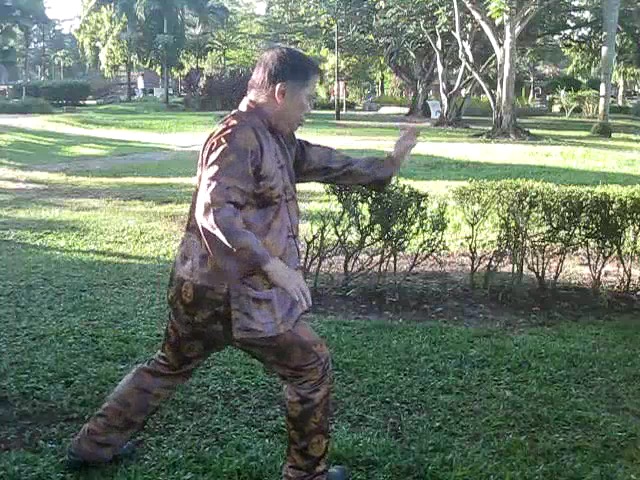 Sun Style Taijiquan